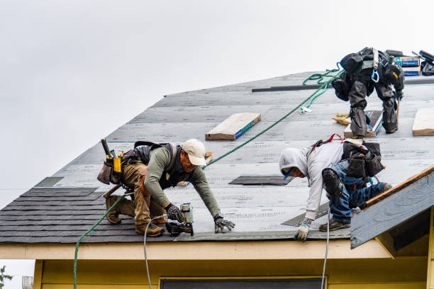 Professional Gutter Installation technician working in Encino, CA
